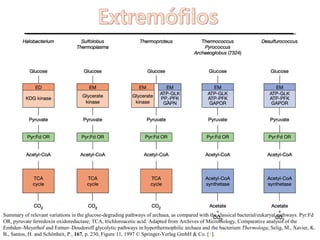 Summary of relevant variations in the glucose-degrading pathways of archaea, as compared with the classical bacterial/eukaryal pathways. Pyr:Fd
OR, pyruvate ferredoxin oxidoreductase; TCA, trichloroacetic acid. Adapted from Archives of Microbiology, Comparative analysis of the
Embden–Meyerhof and Entner–Doudoroff glycolytic pathways in hyperthermophilic archaea and the bacterium Thermologa, Selig, M., Xavier, K.
B., Santos, H. and Schönheit, P., 167, p. 230, Figure 11, 1997 © Springer-Verlag GmbH & Co. [5].
 