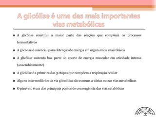 A glicólise constitui a maior parte das reações que compõem os processos
fermentativos
A glicólise é essencial para obtenção de energia em organismos anaeróbicos
A glicólise sustenta boa parte do aporte de energia muscular em atividade intensa
(anaerobicamente)
A glicólise é a primeira das 3 etapas que compõem a respiração celular
Alguns intermediários da via glicolítica são comuns a várias outras vias metabólicas
O piruvato é um dos principais pontos de convergência das vias catabólicas
 
