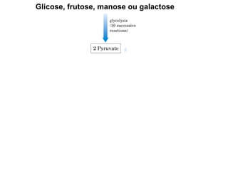 Glicose, frutose, manose ou galactose
 