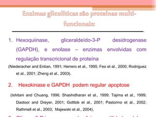 1. Hexoquiinase, gliceraldeído-3-P desidrogenase
(GAPDH), e enolase – enzimas envolvidas com
regulação transcricional de proteína
(Niederacher and Entian, 1991; Herrero et al., 1995; Feo et al., 2000; Rodriguez
et al., 2001; Zheng et al., 2003).
2. Hexokinase e GAPDH podem regular apoptose
(Ishitani and Chuang, 1996; Shashidharan et al., 1999; Tajima et al., 1999;
Dastoor and Dreyer, 2001; Gottlob et al., 2001; Pastorino et al., 2002;
Rathmell et al., 2003; Majewski et al., 2004),
 
