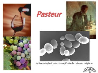 A fermentação é uma conseqüência da vida sem oxigênio
 