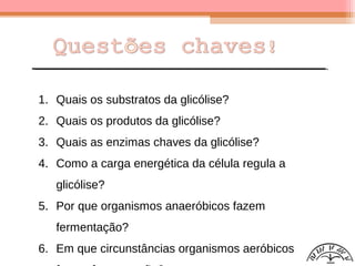 1. Quais os substratos da glicólise?
2. Quais os produtos da glicólise?
3. Quais as enzimas chaves da glicólise?
4. Como a carga energética da célula regula a
glicólise?
5. Por que organismos anaeróbicos fazem
fermentação?
6. Em que circunstâncias organismos aeróbicos
 