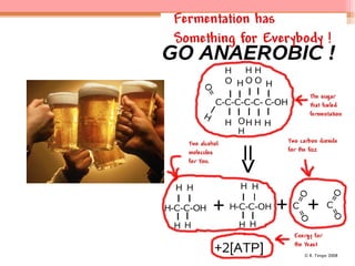 Aula2 glicolise 2014