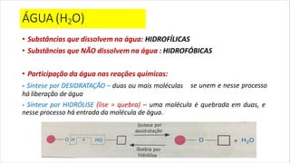 Aula_2Água e sais minerais. substâncias inorgânicas | PDF