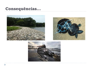 Consequências...
 