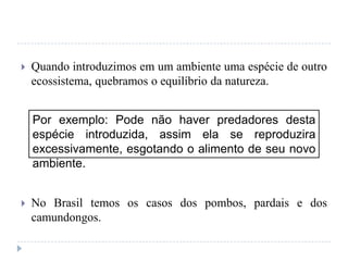  Quando introduzimos em um ambiente uma espécie de outro
ecossistema, quebramos o equilíbrio da natureza.
 No Brasil temos os casos dos pombos, pardais e dos
camundongos.
Por exemplo: Pode não haver predadores desta
espécie introduzida, assim ela se reproduzira
excessivamente, esgotando o alimento de seu novo
ambiente.
 