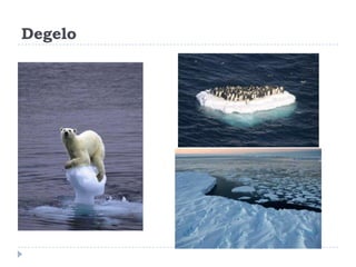 Degelo
 