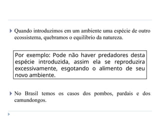 🞂 Quando introduzimos em um ambiente uma espécie de outro
ecossistema, quebramos o equilíbrio da natureza.
🞂 No Brasil temos os casos dos pombos, pardais e dos
camundongos.
Por exemplo: Pode não haver predadores desta
espécie introduzida, assim ela se reproduzira
excessivamente, esgotando o alimento de seu
novo ambiente.
 