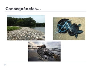Consequências...
 