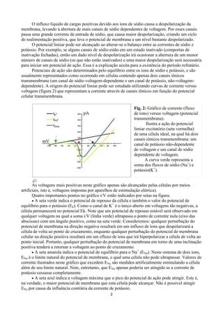 2
O influxo líquido de cargas positivas devido aos íons de sódio causa a despolarização da
membrana, levando à abertura de mais canais de sódio dependentes de voltagem. Por esses canais
passa uma grande corrente de entrada de sódio, que causa maior despolarização, criando um ciclo
de realimentação positiva, que leva o potencial de membrana a um nível bastante despolarizado.
O potencial limiar pode ser alcançado ao alterar-se o balanço entre as correntes de sódio e
potássio. Por exemplo, se alguns canais de sódio estão em um estado inativado (comportas de
inativação fechadas), então um dado nível de despolarização irá ocasionar a abertura de um menor
número de canais de sódio (os que não estão inativados) e uma maior despolarização será necessária
para iniciar um potencial de ação. Essa é a explicação aceita para a existência do período refratário.
Potenciais de ação são determinados pelo equilíbrio entre os íons de sódio e potássio, e são
usualmente representados como ocorrendo em células contendo apenas dois canais iônicos
transmembrana (um canal de sódio voltagem-dependente e um canal de potássio, não-voltagem-
dependente). A origem do potencial limiar pode ser estudada utilizando curvas de corrente versus
voltagem (figura 2) que representam a corrente através de canais iônicos em função do potencial
celular transmembrana.
As voltagens mais positivas neste gráfico apenas são alcançadas pelas células por meios
artificiais, isto é, voltagens impostas por aparelhos de estimulação elétrica).
Quatro importantes pontos no gráfico i/V estão indicados por setas na figura:
 A seta verde indica o potencial de repouso da célula e também o valor do potencial de
equilíbrio para o potássio (Ek). Como o canal de K+
é o único aberto em voltagens tão negativas, a
célula permanecerá no potencial Ek. Note que um potencial de repouso estável será observado em
qualquer voltagem na qual a soma i/V (linha verde) ultrapassa o ponto de corrente nula (eixo das
abscissas) com um ângulo positivo, como na seta verde. Consideremos: qualquer perturbação do
potencial de membrana na direção negativa resultará em um influxo de íons que despolarizará a
célula de volta ao ponto de cruzamento, enquanto qualquer perturbação do potencial de membrana
celular na direção positiva resultará em um efluxo de íons que irá hiperpolarizar a célula de volta ao
ponto inicial. Portanto, qualquer perturbação do potencial de membrana em torno de uma inclinação
positiva tenderá a retornar a voltagem ao ponto de cruzamento.
 A seta amarela indica o potencial de equilíbrio para o Na+
(ENa). Neste sistema de dois íons,
ENa é o limite natural do potencial de membrana, o qual uma célula não pode ultrapassar. Valores de
corrente ilustrados neste gráfico que excedem ENa são medidos artificialmente estimulando a célula
além de seu limite natural. Note, entretanto, que ENa apenas poderia ser atingido se a corrente de
potássio cessasse completamente.
 A seta azul indica a voltagem máxima que o pico do potencial de ação pode atingir. Este é,
na verdade, o maior potencial de membrana que esta célula pode alcançar. Não é possível atingir
ENa por causa da influência contrária da corrente de potássio.
Fig. 2: Gráfico de corrente (fluxo
de íons) versus voltagem (potencial
transmembrana).
Ilustra a ação do potencial
limiar excitatório (seta vermelha)
de uma célula ideal, na qual há dois
canais iônicos transmembrana: um
canal de potássio não-dependente
de voltagem e um canal de sódio
dependente de voltagem.
A curva verde representa a
soma dos fluxos de sódio (Na+
) e
potássio(K+
).
 