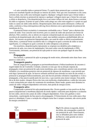 3
 A seta vermelha indica o potencial limiar. É a partir deste potencial que a corrente iônica
passa a ter resultado líquido em direção ao interior da célula. Note que este cruzamento se dá a uma
corrente nula, mas exibe uma inclinação negativa. Qualquer voltagem menor que o limiar tende a
fazer a célula retornar ao potencial de repouso e qualquer voltagem maior que o limiar faz com que
a célula se despolarize. Esta despolarização leva a um maior influxo de íons, desta forma a corrente
de sódio se regenera. O ponto no qual a linha verde atinge seu valor mais negativo é o ponto no qual
todos os canais de sódio estão abertos. Despolarizações além desse ponto diminuem o influxo de
sódio, conforme a força eletroquímica (driving force) diminui com a aproximação do potencial de
membrana do ENa.
O potencial limiar excitatório é comumente confundido com o ―limiar‖ para a abertura dos
canais de sódio. Esse conceito está incorreto, pois os canais de sódio não possuem um limiar de
abertura. Pelo contrário, eles se abrem em resposta à despolarização de uma maneira aleatória. A
ocorrência de despolarização não só abre o canal, mas também aumenta a probabilidade dele ser
aberto. Até mesmo em potenciais hiperpolarizados, um canal de sódio se abrirá ocasionalmente.
Além disso, o potencial limiar excitatório não é a voltagem na qual a corrente de sódio se torna
significante, é a voltagem na qual a corrente de sódio ultrapassa a de potássio.
Em neurônios, despolarizações tipicamente se originam nos dendritos pós-sinápticos e
potenciais de ação, nos cones de implantação ( leia mais sobre cone de implantação e ZID).
Teoricamente, entretanto, um potencial de ação pode ter início em qualquer lugar de uma fibra
nervosa.
Propagação
Nos axônios, o potencial de ação se propaga de modo misto, alternando entre duas fases: uma
passiva e outra ativa.
Transporte passivo
Íons de carga positiva, propagam-se perimembranalmente e bidirecionalmente de encontro à
negatividade (lei de Coulomb). Contudo, somente os íons que vão na direção imposta da
propagação criam um potencial de ação nesta membrana, pois a membrana anterior está em período
refratário; já a membrana posterior está em potencial de repouso de membrana, o que permite que
nela haja o potencial de ação. Se houver estímulo artificial (um eletrodo) no meio de um axônio, o
potencial se propagará bidirecionalmente, pois não haverá períodos refratários impedindo-o. Com a
propagação, a fase passiva perde parte de seus íons, o que acarreta uma menor energia. Esta perda
dá-se de dois modos: choques físicos dos íons com moléculas citoplasmáticas e saída dos íons para
o meio extracelular por canais de vazamento de membrana. Deste modo, quanto mais distantes os
canais de sódio voltagem-dependentes estiverem, mais perda de energia ocorre.
Transporte ativo
Compreende o potencial de ação propriamente dito. Ocorre quando os íons positivos da fase
passiva despolarizam a membrana adjacente de modo rápido e suficiente para despertar a avalanche
de íons sódio, através dos canais de sódio voltagem-dependentes. Estes íons ganham o meio
intracelular, e participarão da fase passiva da propagação. O fornecimento de íons sódio para a fase
passiva é abundante. Como a variação da voltagem nesta fase é sempre constante, não ocorre perda
de energia considerável.
Fig 3: Os cátions à esquerda, dentro
da célula, são conseguidos a partir de
um potencial de ação. Passivamente,
eles se difundem para outro nódulo
de Ranvier, onde gerarão um novo
potencial de ação.
 