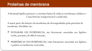 A bicamada lipídica promove a estrutura básica de todas as membranas celulares e
é uma barreira semipermeável a moléculas.
A maior parte das funções da membrana são desempenhadas pelas proteínas de
membrana. Divididas em:
 INTEGRAIS OU INTRÍNSECAS, são fortemente associadas aos lipídeos
sendo, portanto, de difícil remoção;
 PERIFÉRICAS OU EXTRÍNSECAS, estão fracamente associadas aos lipídeos
e podem ser facilmente removidas.
Proteínas de membrana
 