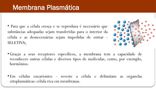 • Graças a seus receptores específicos, a membrana tem a capacidade de
reconhecer outras células e diversos tipos de moléculas, como, por exemplo,
hormônios.
• Em células eucariontes - reveste a célula e delimitam as organelas
citoplasmáticas: célula rica em membranas.
• Para que a célula cresça e se reproduza é necessário que
substâncias adequadas sejam transferidas para o interior da
célula e as desnecessárias sejam impedidas de entrar -
SELETIVA;
Membrana Plasmática
 