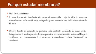  Mal de Alzheimer
 É uma forma de demência de causa desconhecida, cuja incidência aumenta
sensivelmente após os 65 anos, atingindo quase a metade dos indivíduos acima de
85 anos
 Ocorre devido ao acúmulo da proteína beta amilóide formando as placas senis.
Esta proteína é um fragmento de uma proteína precursora muito maior, APP, queé
codificada no cromossomo 21e atravessa a membrana celular “matando” os
neurônios.
Por que estudar membrana?
 
