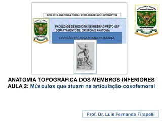ANATOMIA TOPOGRÁFICA DOS MEMBROS INFERIORES
AULA 2: Músculos que atuam na articulação coxofemoral
Prof. Dr. Luís Fernando Tirapelli
 