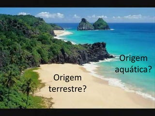 Origem terrestre? 
Origem aquática?  
