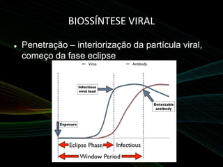 BIOSSÍNTESE VIRAL
 Penetração – interiorização da partícula viral,
começo da fase eclipse
 