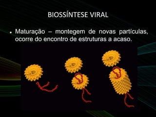 BIOSSÍNTESE VIRAL
 Maturação – montegem de novas partículas,
ocorre do encontro de estruturas a acaso.
 