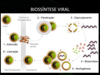 BIOSSÍNTESE VIRAL
 
