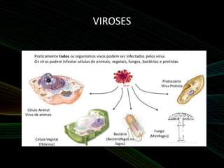 VIROSES
 