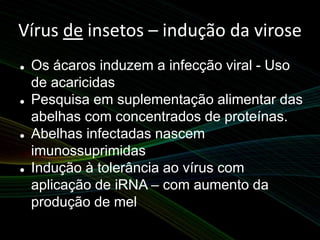 Vírus de insetos – indução da virose
 Os ácaros induzem a infecção viral - Uso
de acaricidas
 Pesquisa em suplementação alimentar das
abelhas com concentrados de proteínas.
 Abelhas infectadas nascem
imunossuprimidas
 Indução à tolerância ao vírus com
aplicação de iRNA – com aumento da
produção de mel
 