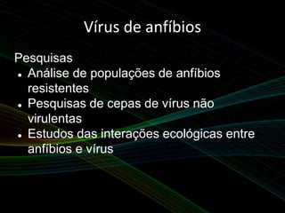 Vírus de anfíbios
Pesquisas
 Análise de populações de anfíbios
resistentes
 Pesquisas de cepas de vírus não
virulentas
 Estudos das interações ecológicas entre
anfíbios e vírus
 