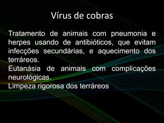 Vírus de cobras
Tratamento de animais com pneumonia e
herpes usando de antibióticos, que evitam
infecções secundárias, e aquecimento dos
terráreos.
Eutanásia de animais com complicações
neurológicas.
Limpeza rigorosa dos terráreos
 