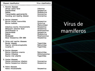 Vírus de
mamíferos
 