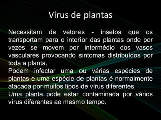 Vírus de plantas
Necessitam de vetores - insetos que os
transportam para o interior das plantas onde por
vezes se movem por intermédio dos vasos
vasculares provocando sintomas distribuídos por
toda a planta.
Podem infectar uma ou várias espécies de
plantas e uma espécie de plantas é normalmente
atacada por muitos tipos de vírus diferentes.
Uma planta pode estar contaminada por vários
vírus diferentes ao mesmo tempo.
 