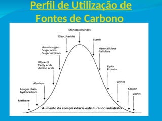 Perfil de Utilização de
Fontes de Carbono
 