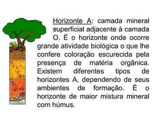Horizonte A: camada mineral
superficial adjacente à camada
O. É o horizonte onde ocorre
grande atividade biológica o que lhe
confere coloração escurecida pela
presença de matéria orgânica.
Existem diferentes tipos de
horizontes A, dependendo de seus
ambientes de formação. É o
horizonte de maior mistura mineral
com húmus.
 