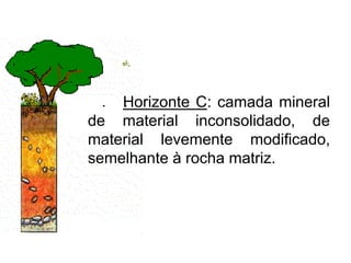 Horizonte C: camada mineral
de material inconsolidado, de
material levemente modificado,
semelhante à rocha matriz.
 