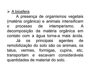 A biosfera
A presença de organismos vegetais
(matéria orgânica) e animais intensificam
o processo de intemperismo. A
decomposição da matéria orgânica em
contato com a água torna-a mais ácida.
Já os principais agentes de
remobilização do solo são os animais, os
tatus, vermes, formigas, cupins, etc,
transportam e escavam consideráveis
quantidades de material do solo.
 
