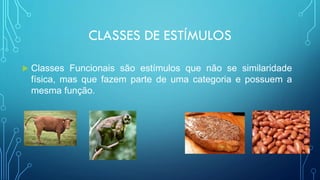 Genera Os Aula 2 os conceitos de discriminação e generalização | PDF
