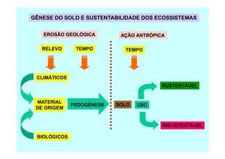 GÊNESE DO SOLO E SUSTENTABILIDADE DOS ECOSSISTEMAS
EROSÃO GEOLÓGICA AÇÃO ANTRÓPICA
CLIMÁTICOS
RELEVO TEMPO TEMPO
BIOLÓGICOS
MATERIAL
DE ORIGEM
CLIMÁTICOS
SOLO
INSUSTENTÁVEL
SUSTENTÁVEL
PEDOGÊNESE USO
 