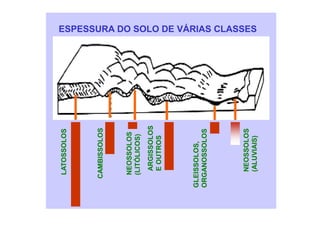 ESPESSURA DO SOLO DE VÁRIAS CLASSES
LATOSSOLOS
CAMBISSOLOS
NEOSSOLOS
(LITÓLICOS)
ARGISSOLOS
E
OUTROS
NEOSSOLOS
(ALUVIAIS)
GLEISSOLOS,
ORGANOSSOLOS
 