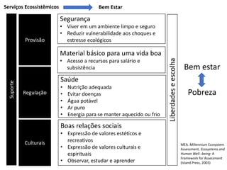 Bem estar
Pobreza
Suporte
Provisão
Regulação
Culturais
Serviços Ecossistêmicos
Segurança
• Viver em um ambiente limpo e seguro
• Reduzir vulnerabilidade aos choques e
estresse ecológicos
Material básico para uma vida boa
• Acesso a recursos para salário e
subsistência
Saúde
• Nutrição adequada
• Evitar doenças
• Água potável
• Ar puro
• Energia para se manter aquecido ou frio
Boas relações sociais
• Expressão de valores estéticos e
recreativos
• Expressão de valores culturais e
espirituais
• Observar, estudar e aprender
Liberdadeseescolha
Bem Estar
MEA. Millennium Ecosystem
Assessment. Ecosystems and
Human Well--being: A
Framework for Assessment
(Island Press, 2003)
 
