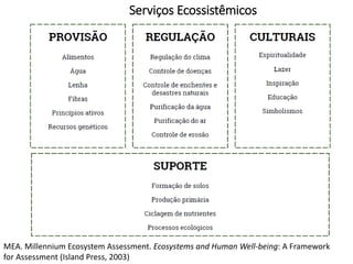 Serviços Ecossistêmicos
MEA. Millennium Ecosystem Assessment. Ecosystems and Human Well-being: A Framework
for Assessment (Island Press, 2003)
 