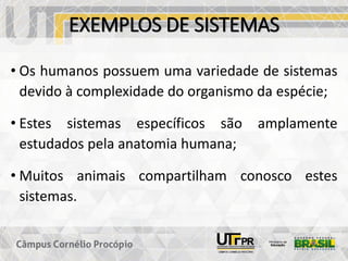 EXEMPLOS DE SISTEMAS
• Os humanos possuem uma variedade de sistemas
devido à complexidade do organismo da espécie;
• Estes sistemas específicos são amplamente
estudados pela anatomia humana;
• Muitos animais compartilham conosco estes
sistemas.
 