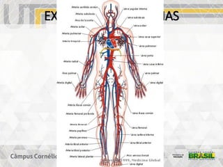EXEMPLOS DE SISTEMAS
 