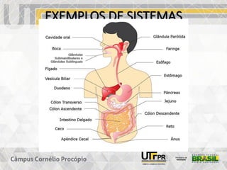 EXEMPLOS DE SISTEMAS
 