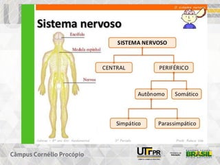 EXEMPLOS DE SISTEMAS
 