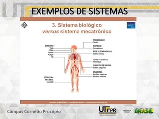 EXEMPLOS DE SISTEMAS
 