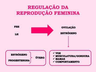 REGULAÇÃO DA
    REPRODUÇÃO FEMININA

   FSH                        OVULAÇÃO

   LH                        ESTRÓGENO




                          VOZ
 ESTRÓGENO
                          MUSCULATURA/GORDURA
               ÚTERO
                          MAMAS
PROGESTERONA
                          COMPORTAMENTO
 