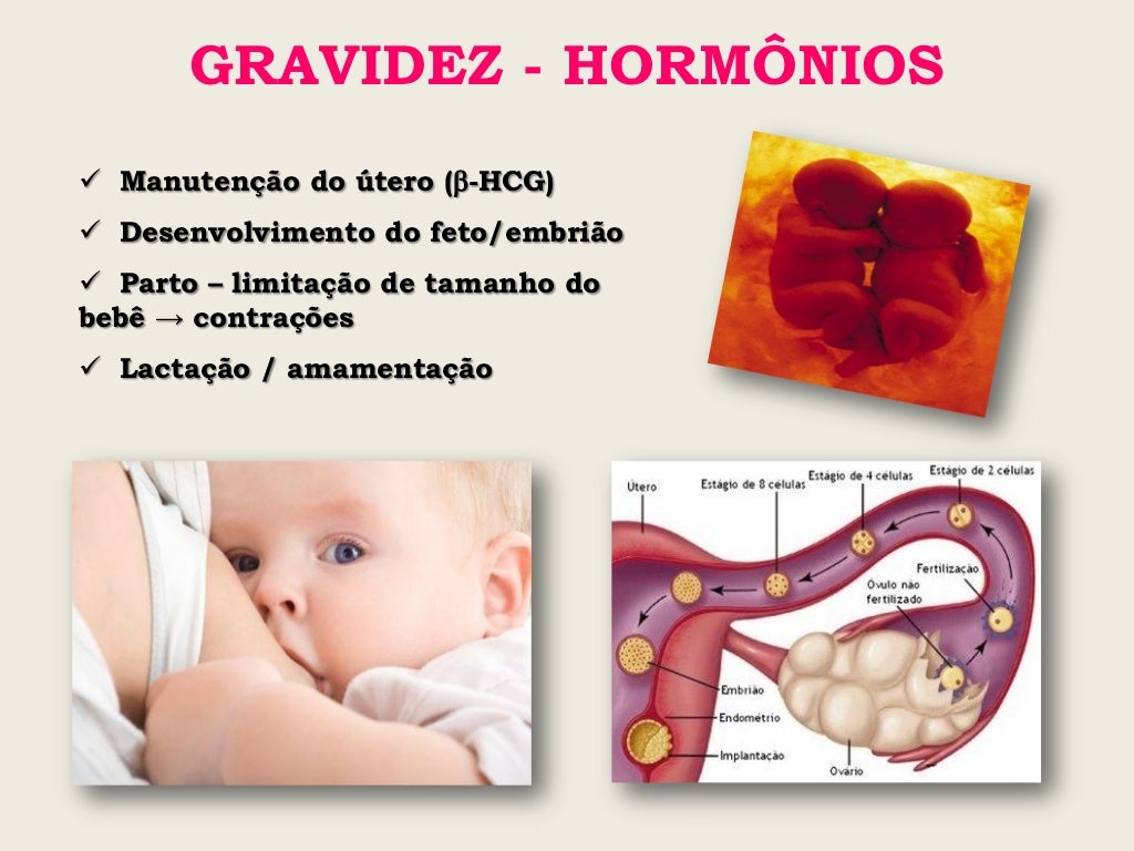 Explique Com Suas Palavras O Que São Hormônios