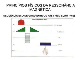 PRINCÍPIOS FÍSICOS DA RESSONÂNCIA
MAGNÉTICA
SEQUÊNCIA ECO DE GRADIENTE OU FAST FILD ECHO (FFE)
 