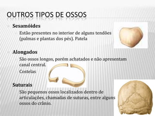 OUTROS TIPOS DE OSSOS
   Sesamóides
       Estão presentes no interior de alguns tendões
        (palmas e plantas dos pés). Patela

   Alongados
       São ossos longos, porém achatados e não apresentam
        canal central.
       Costelas

   Suturais
       São pequenos ossos localizados dentro de
        articulações, chamadas de suturas, entre alguns
        ossos do crânio.
 