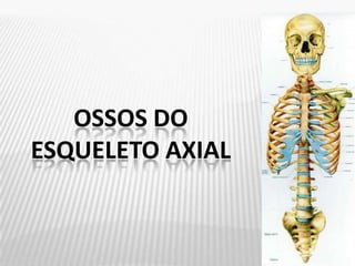 OSSOS DO
ESQUELETO AXIAL
 