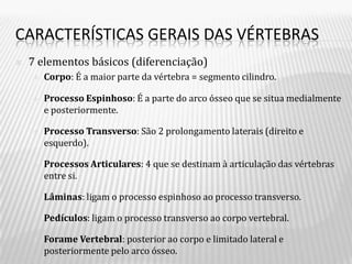 CARACTERÍSTICAS GERAIS DAS VÉRTEBRAS
   7 elementos básicos (diferenciação)
       Corpo: É a maior parte da vértebra = segmento cilindro.

       Processo Espinhoso: É a parte do arco ósseo que se situa medialmente
        e posteriormente.

       Processo Transverso: São 2 prolongamento laterais (direito e
        esquerdo).

       Processos Articulares: 4 que se destinam à articulação das vértebras
        entre si.

       Lâminas: ligam o processo espinhoso ao processo transverso.

       Pedículos: ligam o processo transverso ao corpo vertebral.

       Forame Vertebral: posterior ao corpo e limitado lateral e
        posteriormente pelo arco ósseo.
 