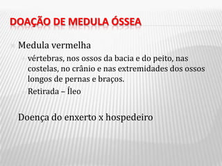 DOAÇÃO DE MEDULA ÓSSEA

   Medula vermelha
     vértebras, nos ossos da bacia e do peito, nas
      costelas, no crânio e nas extremidades dos ossos
      longos de pernas e braços.
     Retirada – Íleo



   Doença do enxerto x hospedeiro
 
